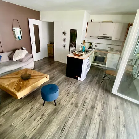 Lejlighed Charming T2 With A 135m2 Garden In